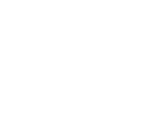 LZ Stav